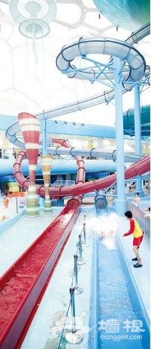 水立方嬉水樂園 水立方嬉水樂園