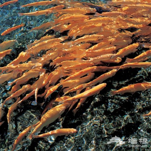 北海公園 北海公園