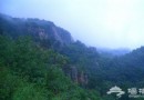 北京向北 夏涼宮邂逅浪漫的白桦林