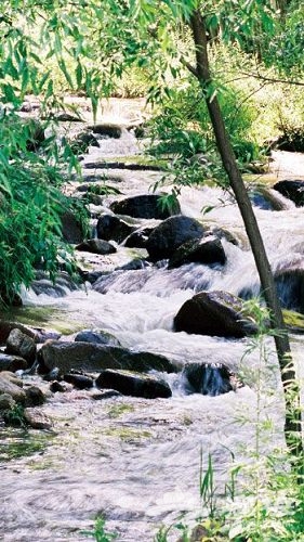 嬉水灣旅游觀光園 嬉水灣旅游觀光園