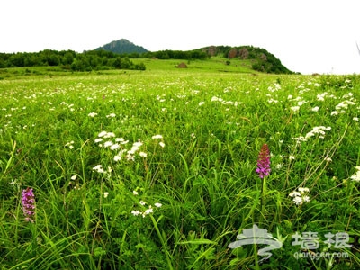 百花山