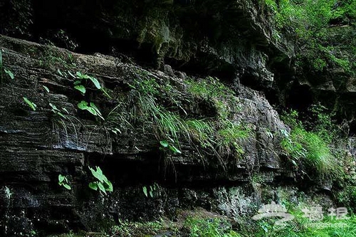 穿越後河峽谷 領略京城後花園閒情野趣[牆根網]