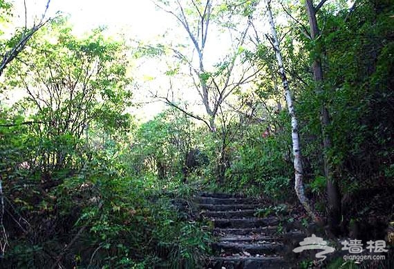 賞百花山完好原始風光 避暑絕佳去處[牆根網]