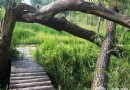 三裡河濕地公園