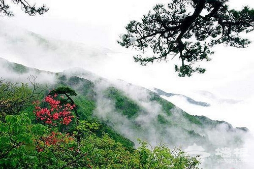 玉渡山 京郊鮮為人知的嬌嫩處女地[牆根網]