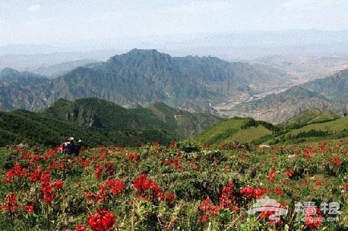 京西靈山避暑游：讓我們“回到拉薩”[牆根網]