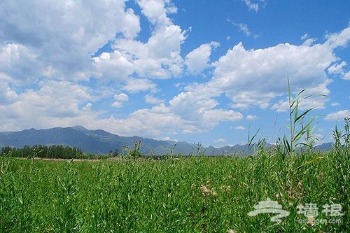 廣闊原野風聲蕭蕭 縱情馳騁康西草原[牆根網]