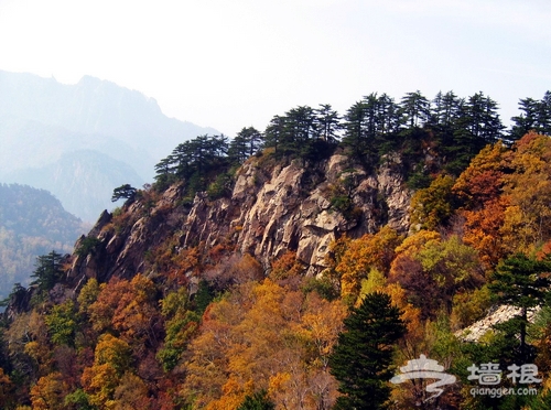 京東霧靈山 盛夏到大山裡享受綠色秋天[牆根網]