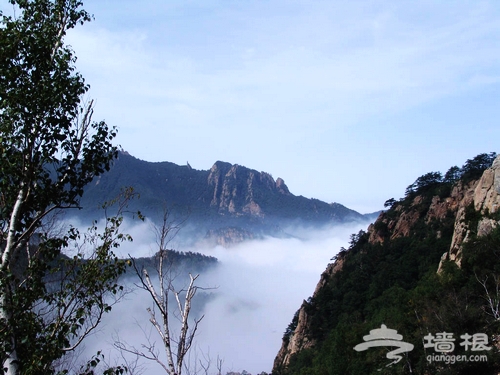 京東霧靈山 盛夏到大山裡享受綠色秋天[牆根網]