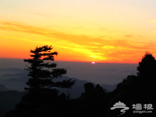 京東霧靈山 盛夏到大山裡享受綠色秋天[牆根網]