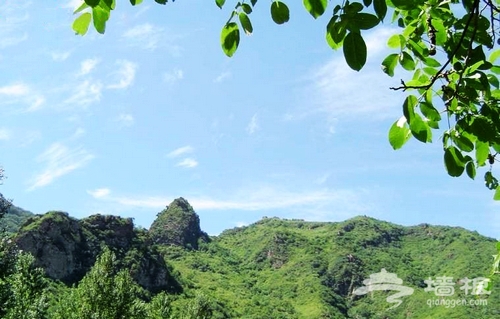 京東霧靈山 盛夏到大山裡享受綠色秋天[牆根網]