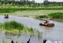 漢石橋濕地公園——蘆葦蕩裡捉迷藏