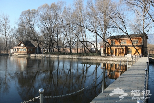 玩水何必去西溪 京郊濕地公園尋找夏天[牆根網]