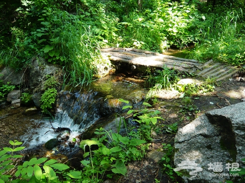 北京夏季最涼爽的地帶 延慶松山吹吹風[牆根網]