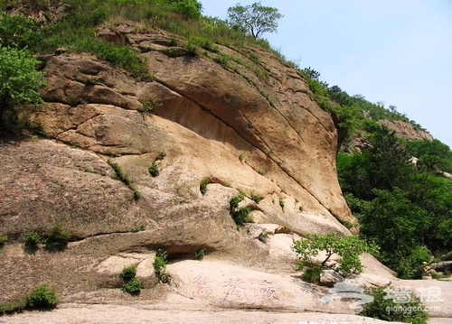 北京夏季最涼爽的地帶 延慶松山吹吹風[牆根網]