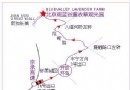 密雲雲峰山薰衣草莊園攻略