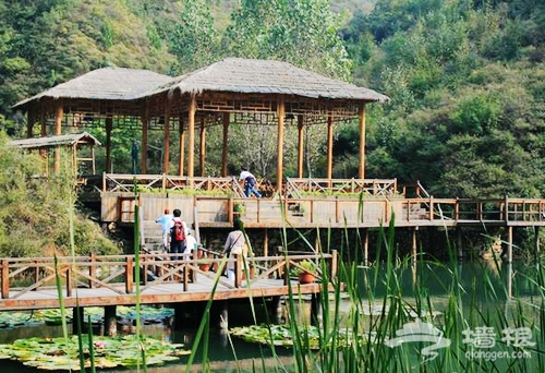 之萬農莊 樂活基地“偷菜”去[牆根網]