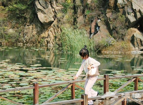 之萬農莊 樂活基地“偷菜”去[牆根網]