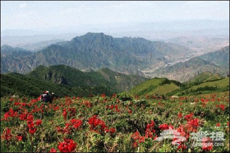 京郊第一峰：靈山 旅游全攻略[牆根網]