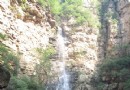 魚子山村的悠然生活
