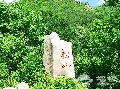 松山 松山