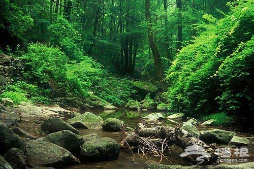 盛夏避暑好去處——霧靈山上享清涼[牆根網]