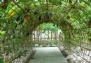 小湯山現代農業園莊