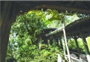 尋找北京那些容易忽視的風景