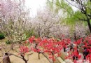 元大都遺址公園