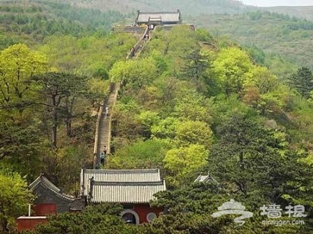 賞花登山賞美景 觸摸北京迷人春色[牆根網]