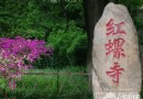 春游賞花與養生 紅螺寺踏春攻略