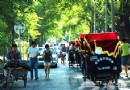 北京胡同游攻略：感受歷史深度和人情溫度