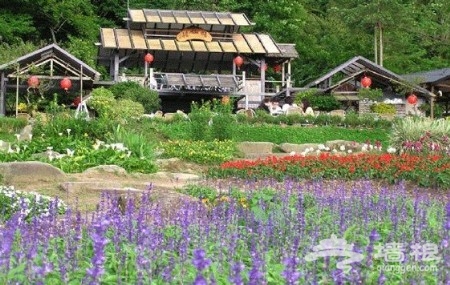 京郊花開何處：做一個從容的賞花人[牆根網]