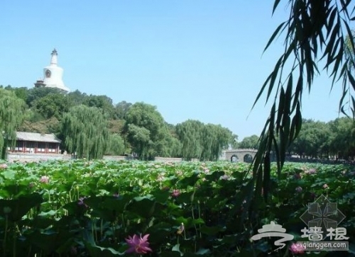 點擊查看原圖 北京清明游全攻略