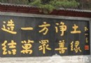 春游紅螺寺牡丹紫籐花節