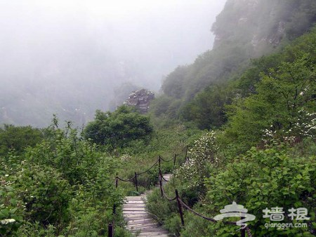 涞源風景