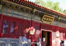 門頭溝：種一棵樹許一個願