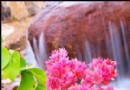 北京踏青：植物園VS百望山森林公園