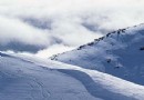 蓮花山滑雪場 電話預定享受五折優惠