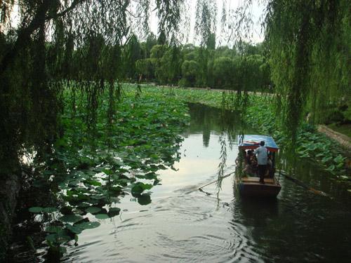 冬日劃船推薦三：紫竹院公園