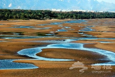 冬季讓我們去看海 北京周邊必游海景[牆根網]