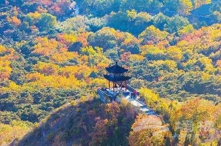 紅螺山紅螺寺 紅葉正紅[牆根網]