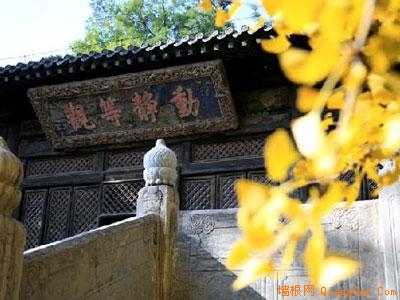 大覺寺銀杏王 大覺寺 “銀杏王”