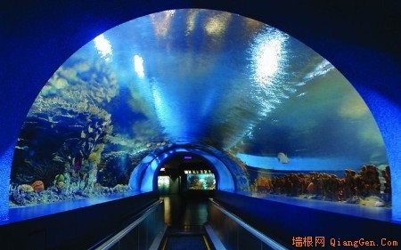 北京海洋館的海底隧道