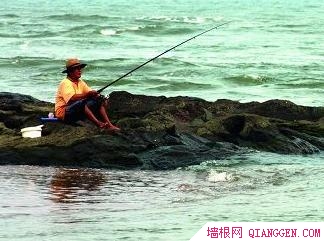 尋京城近海 今夏玩海兩極端[牆根網]