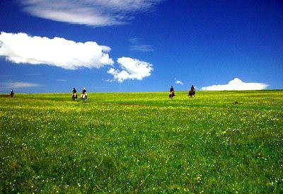 京郊草原游：空中草原自駕游攻略[牆根網]