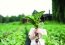 去京郊 過一把現實版地主瘾