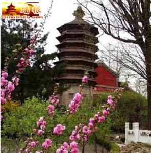 春游門頭溝 登山 賞花樂趣多[牆根網]