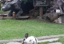 水琏濕地牛山海岸