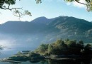 阿裡山